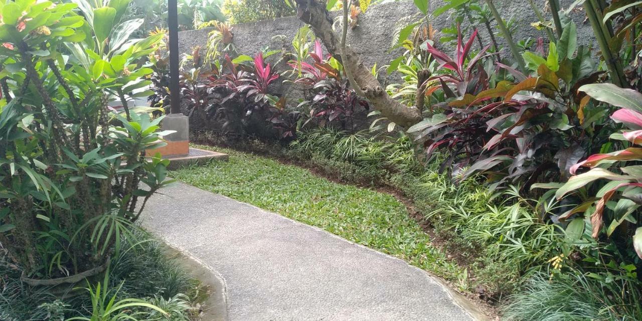 Vila Dedik House Ubud Exteriér fotografie