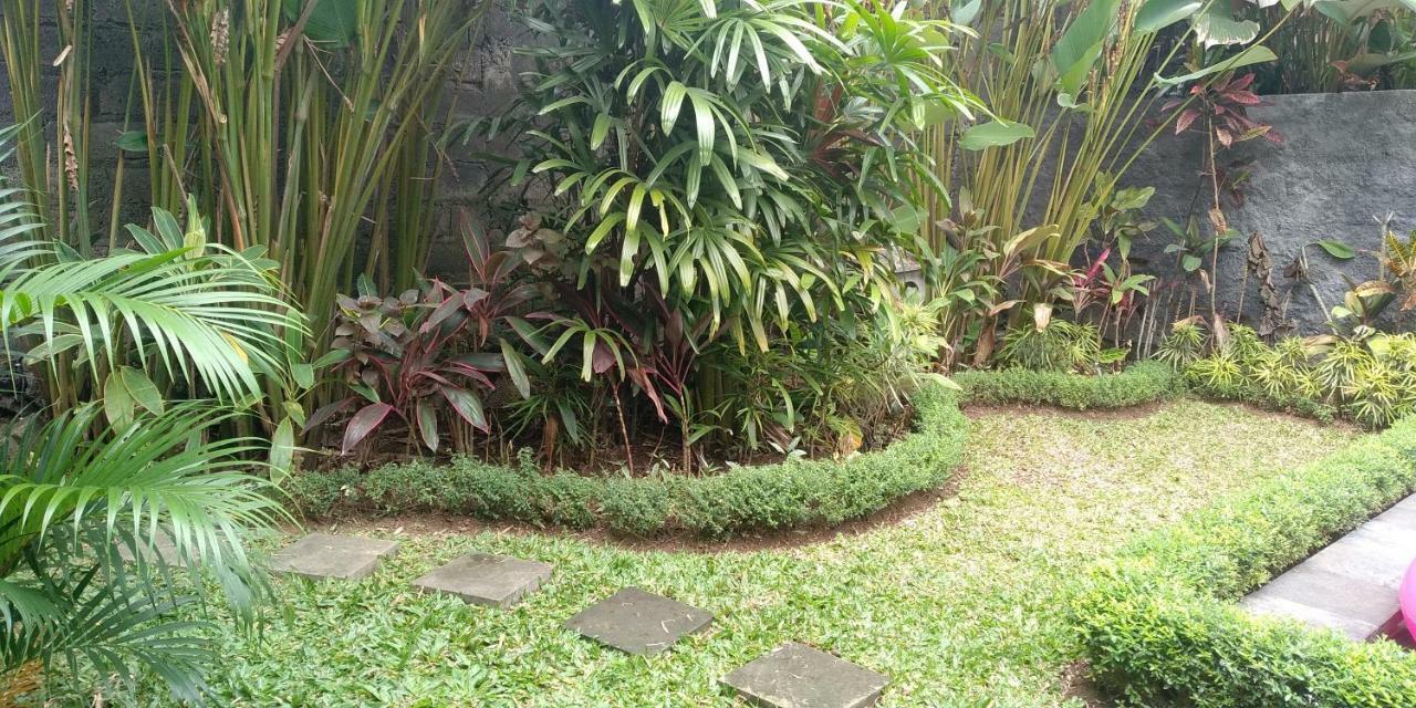 Vila Dedik House Ubud Exteriér fotografie