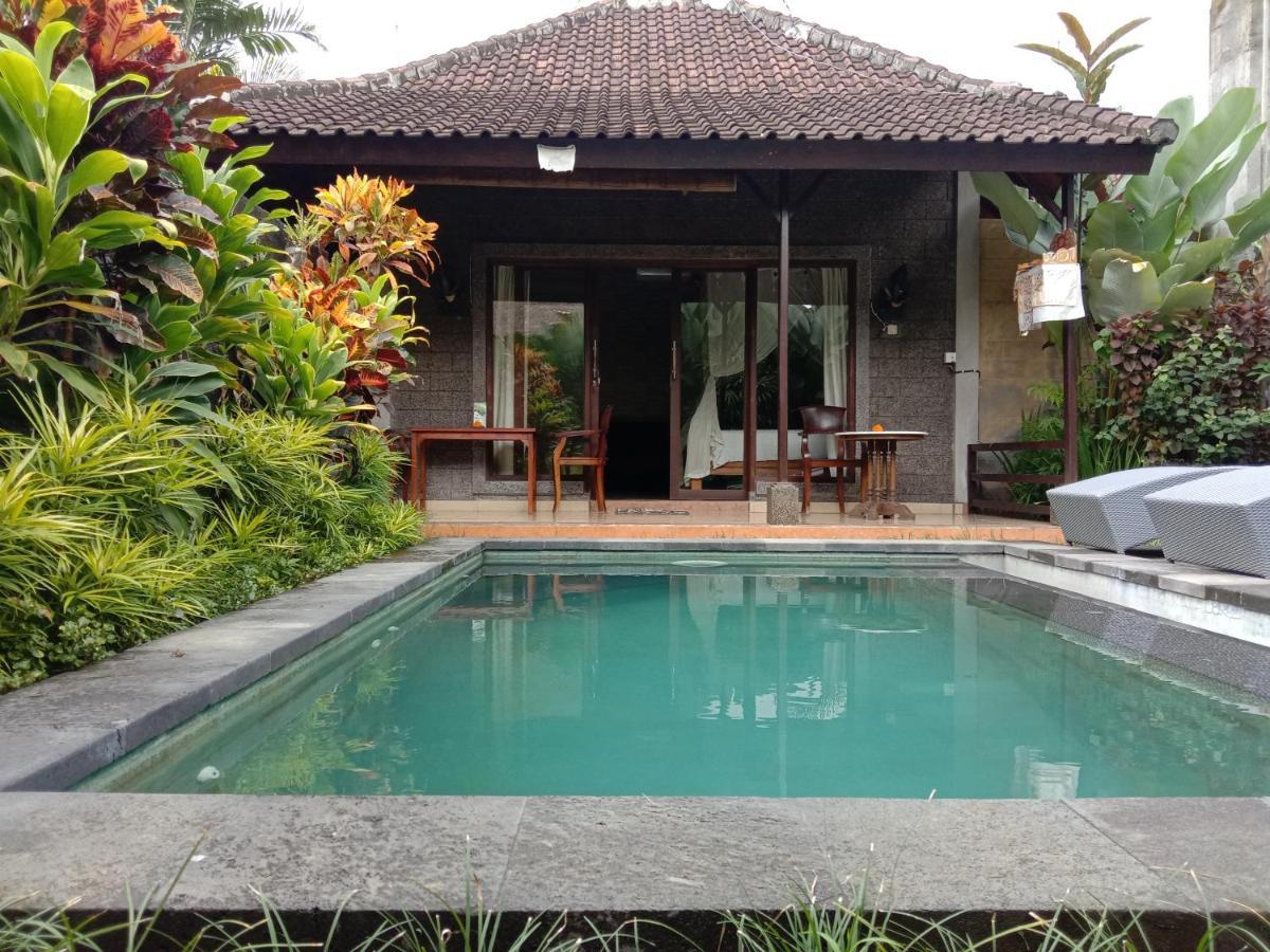 Vila Dedik House Ubud Exteriér fotografie